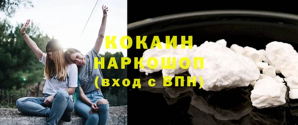 PSILOCYBIN Бикин