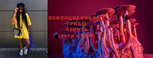 молекула духа Билибино