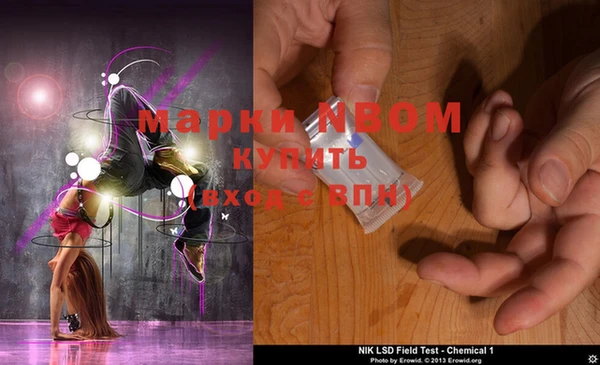 молекула духа Билибино