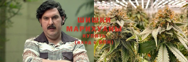 PSILOCYBIN Бикин