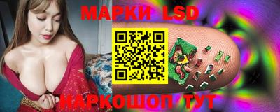 соль ск Будённовск