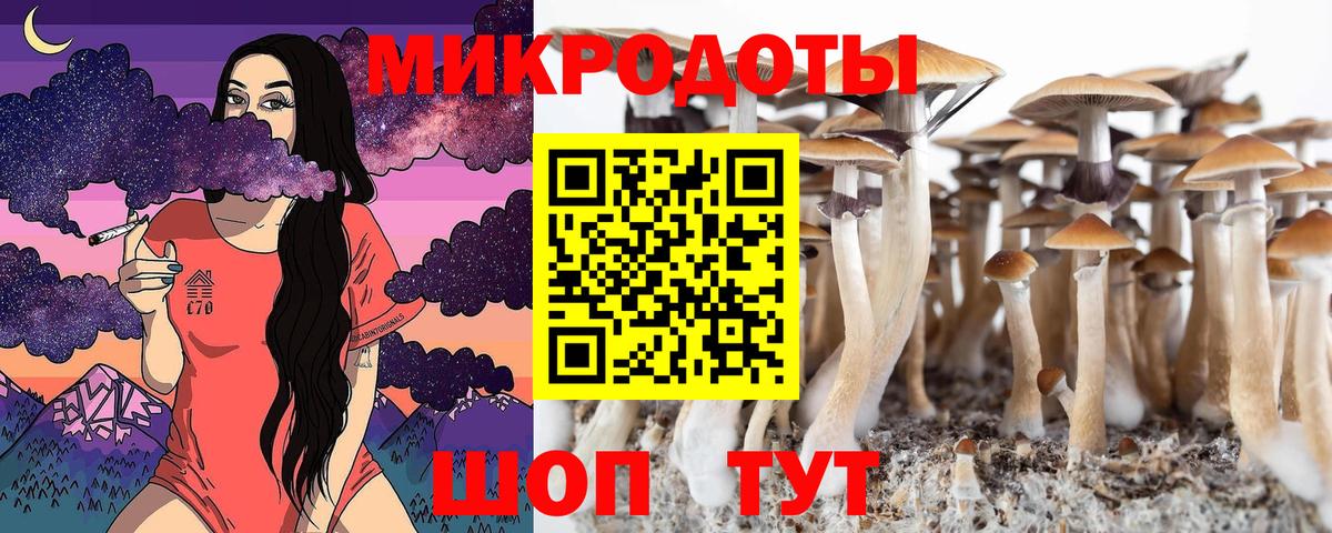 Псилоцибиновые грибы MAGIC MUSHROOMS Горно-Алтайск