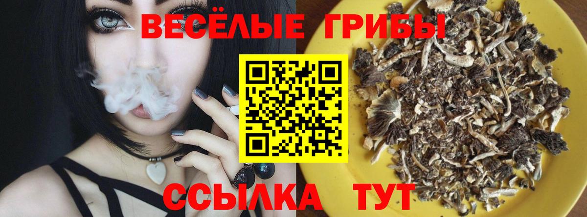 что такое наркотик  Галлюциногенные грибы Psilocybine cubensis  Вход с VPN  Горно-Алтайск  Псилоцибиновые грибы Cubensis 